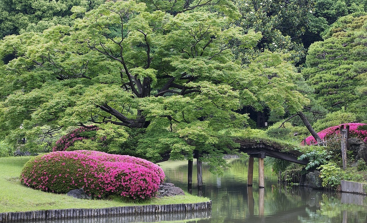 Jardin japonais confiance en soi