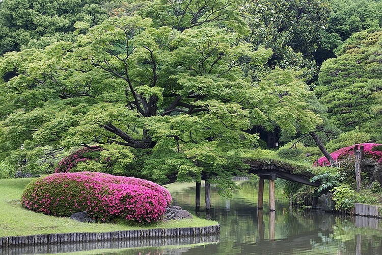 Parc japonais Tokyo